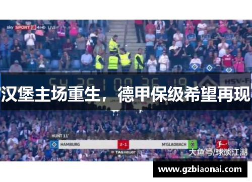 汉堡主场重生，德甲保级希望再现
