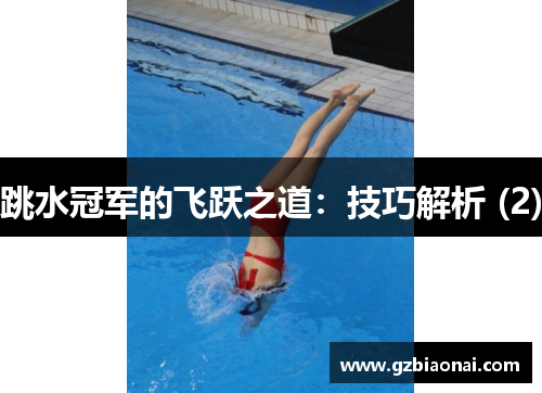 跳水冠军的飞跃之道：技巧解析 (2)
